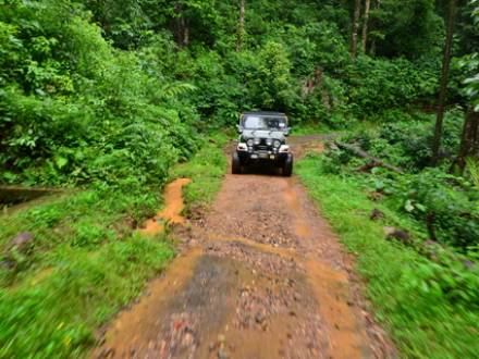 St. Croix excursion injury